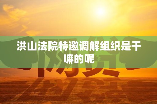 洪山法院特邀调解组织是干嘛的呢