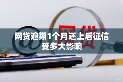 网贷逾期1个月还上后征信受多大影响