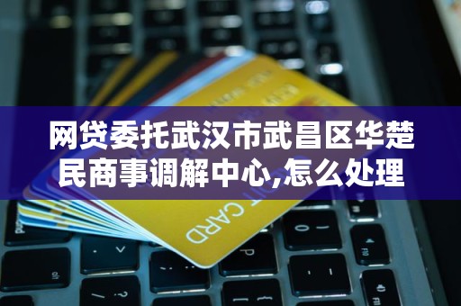网贷委托武汉市武昌区华楚民商事调解中心,怎么处理