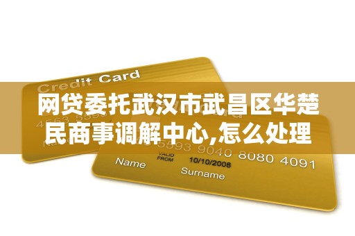 网贷委托武汉市武昌区华楚民商事调解中心,怎么处理