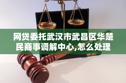 网贷委托武汉市武昌区华楚民商事调解中心,怎么处理