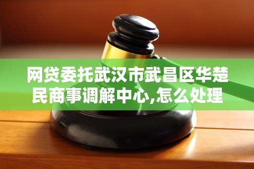 网贷委托武汉市武昌区华楚民商事调解中心,怎么处理