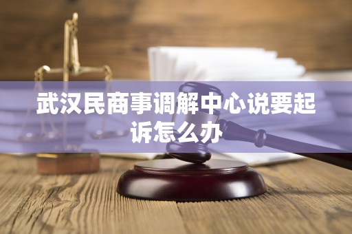 武汉民商事调解中心说要起诉怎么办