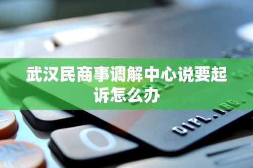 武汉民商事调解中心说要起诉怎么办