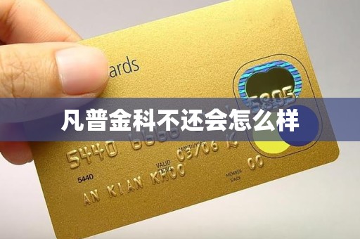 凡普金科不还会怎么样
