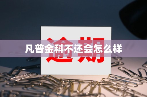 凡普金科不还会怎么样