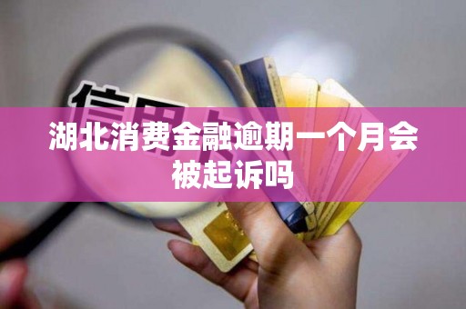 湖北消费金融逾期一个月会被起诉吗