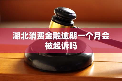 湖北消费金融逾期一个月会被起诉吗