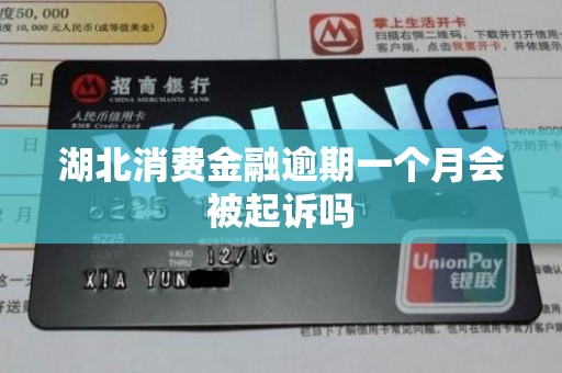 湖北消费金融逾期一个月会被起诉吗