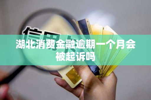 湖北消费金融逾期一个月会被起诉吗