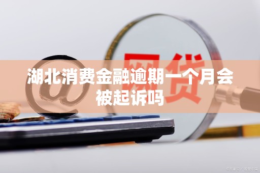 湖北消费金融逾期一个月会被起诉吗