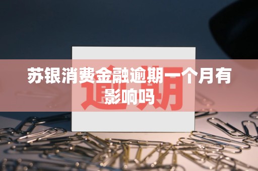苏银消费金融逾期一个月有影响吗 苏银消费金融逾期一个月有影响吗