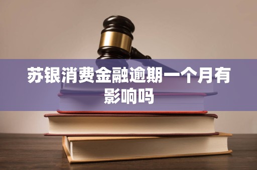 苏银消费金融逾期一个月有影响吗 苏银消费金融逾期一个月有影响吗