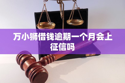 万小狮借钱逾期一个月会上征信吗