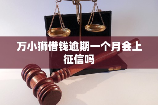万小狮借钱逾期一个月会上征信吗