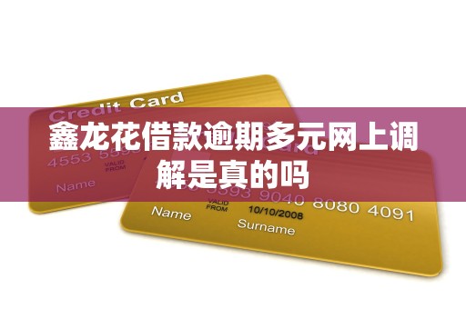 鑫龙花借款逾期多元网上调解是真的吗