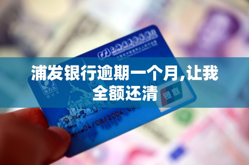 浦发银行逾期一个月,让我全额还清