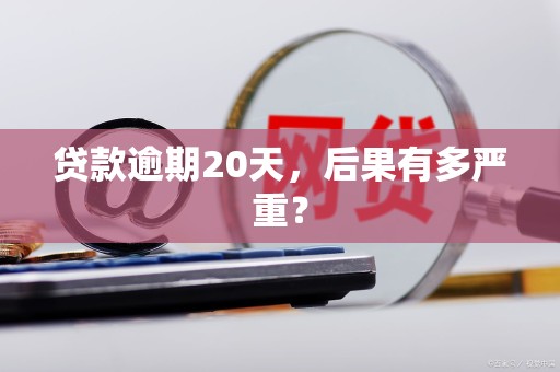 贷款逾期20天，后果有多严重？