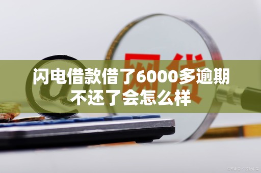 闪电借款借了6000多逾期不还了会怎么样