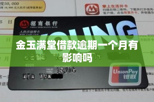 金玉满堂借款逾期一个月有影响吗