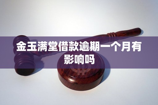 金玉满堂借款逾期一个月有影响吗