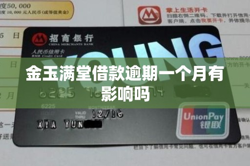 金玉满堂借款逾期一个月有影响吗