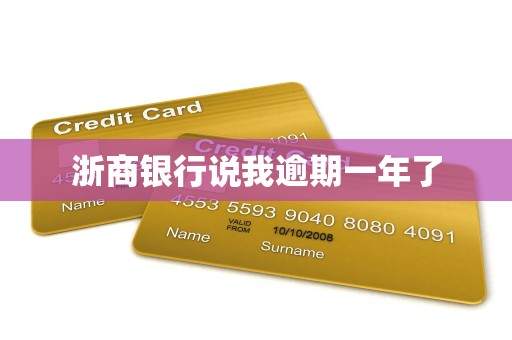 浙商银行说我逾期一年了