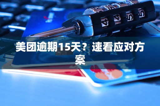 美团逾期15天？速看应对方案
