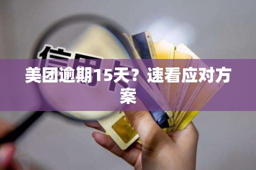 美团逾期15天？速看应对方案