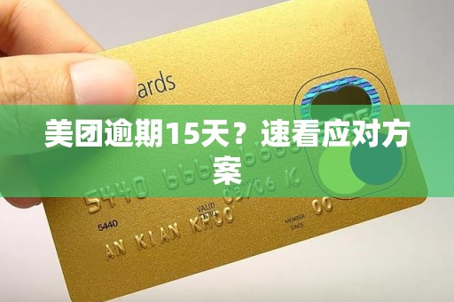 美团逾期15天？速看应对方案