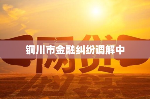 铜川市金融纠纷调解中