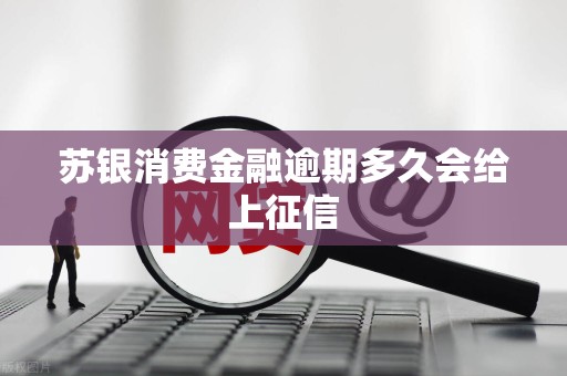 苏银消费金融逾期多久会给上征信