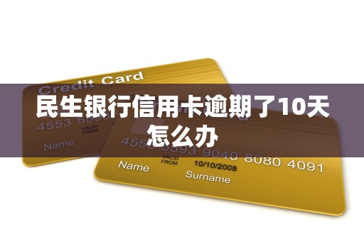 民生银行信用卡逾期了10天怎么办