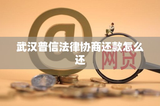 武汉普信法律协商还款怎么还