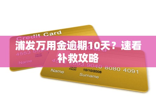 浦发万用金逾期10天？速看补救攻略