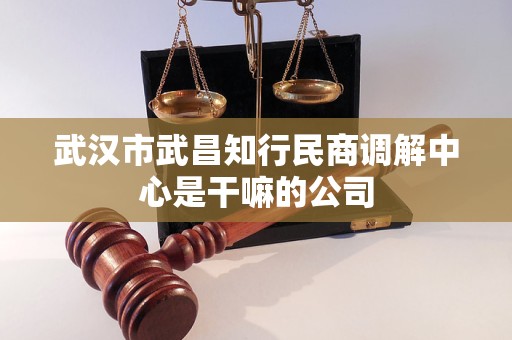 武汉市武昌知行民商调解中心是干嘛的公司