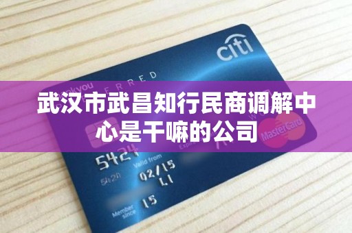 武汉市武昌知行民商调解中心是干嘛的公司