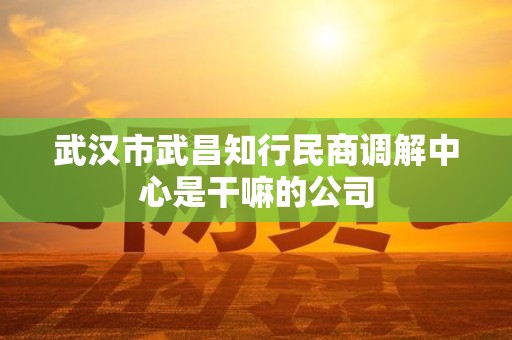武汉市武昌知行民商调解中心是干嘛的公司