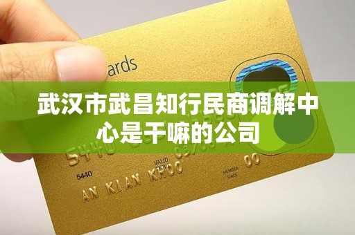 武汉市武昌知行民商调解中心是干嘛的公司