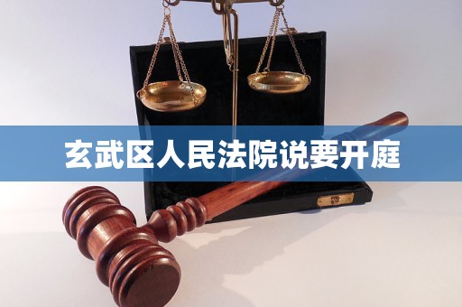 玄武区人民法院说要开庭