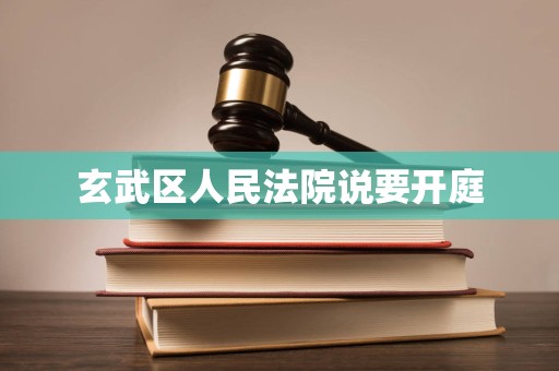 玄武区人民法院说要开庭