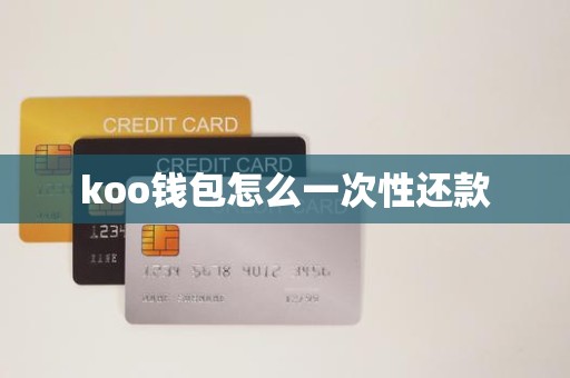 koo钱包怎么一次性还款
