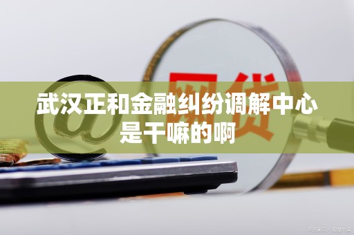 武汉正和金融纠纷调解中心是干嘛的啊