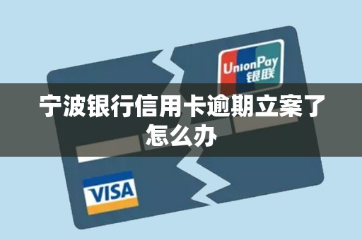 宁波银行信用卡逾期立案了怎么办