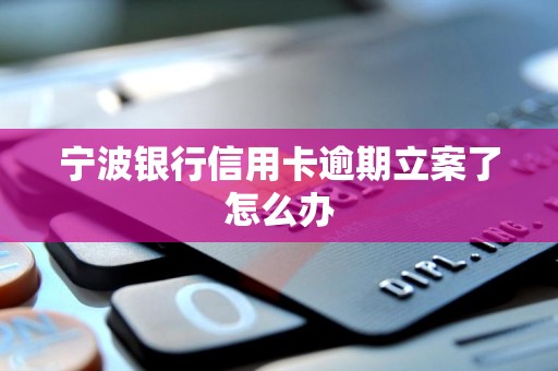 宁波银行信用卡逾期立案了怎么办