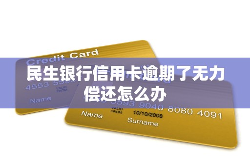 民生银行信用卡逾期了无力偿还怎么办 民生银行信用卡逾期了无力偿还怎么办