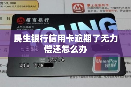 民生银行信用卡逾期了无力偿还怎么办 民生银行信用卡逾期了无力偿还怎么办