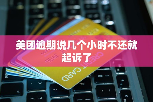 美团逾期说几个小时不还就起诉了