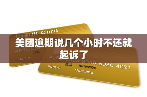 美团逾期说几个小时不还就起诉了