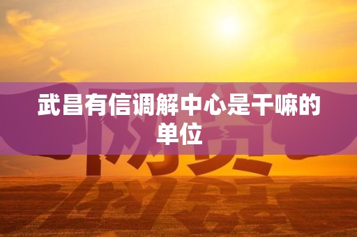 武昌有信调解中心是干嘛的单位